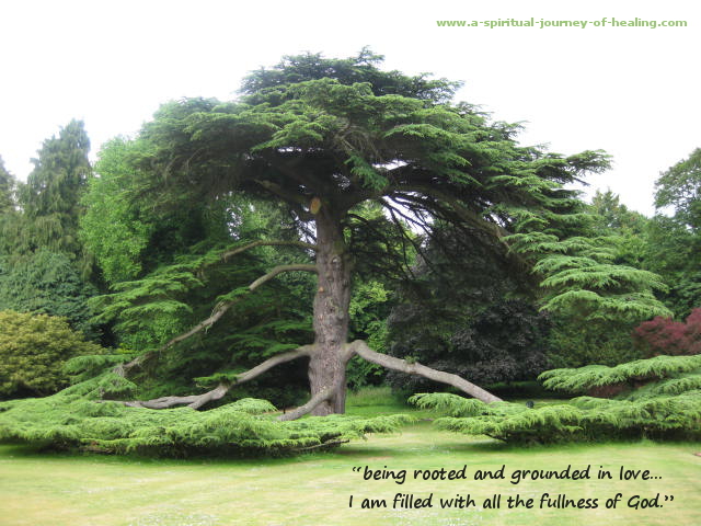 rooted-in-god