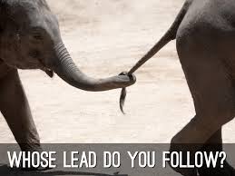 Whose lead do you follow