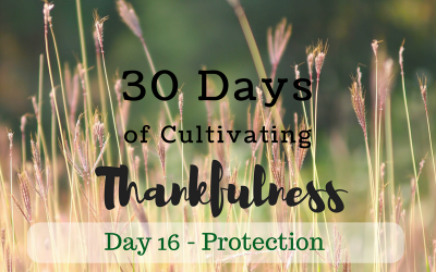30 Days of Cultivating Thankfulness Day 16 – Protection