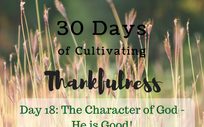 30 Days of Cultivating Thankfulness Day 18 –Character of God – He is Good!