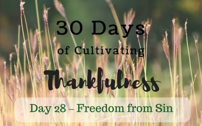 30 Days of Cultivating Thankfulness:   Day 28 – Freedom from Sin