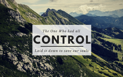 Control's Control