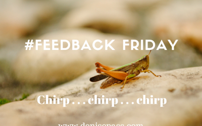 Chirp . . . Chirp . . . An Update and Feedback
