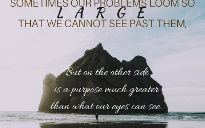 The Purpose of Problems