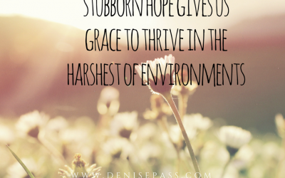 Stubborn Hope