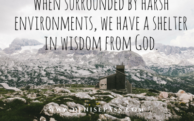 Wisdom’s Outlook