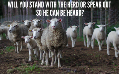 Speak Out!