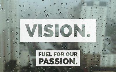 Reclaiming Our Vision: How to Ignite and Fulfill our Original Passion