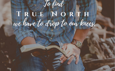 True North: Finding Right-Side Up in a Messed-Up World