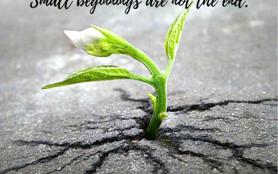 Small Beginnings are Not the End