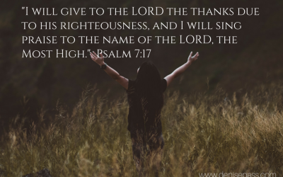 Making Room for Gratitude: Day 20