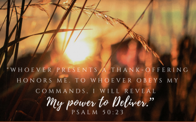 Making Room for Gratitude: Day 14