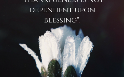Making Room for Gratitude ~ Day 6