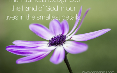 Making Room for Gratitude ~ Day 10