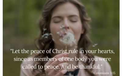 Making Room for Gratitude: Day 16
