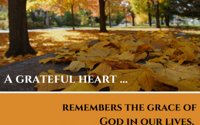 Making Room for Gratitude ~ Day 8