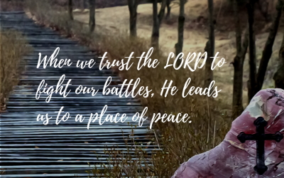 Thankful No Longer Shameful ~ 30 Days of Gratitude: Day 20