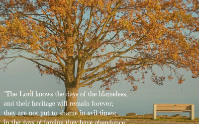 Thankful No Longer Shameful ~ 30 Days of Gratitude: Day 17