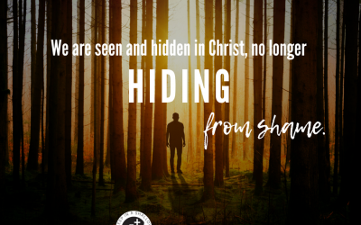 No More Hiding – Seen and Found