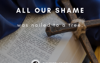 All Our Shame Was Nailed to a Tree