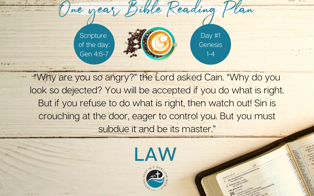 January 1 Bible Reading Plan