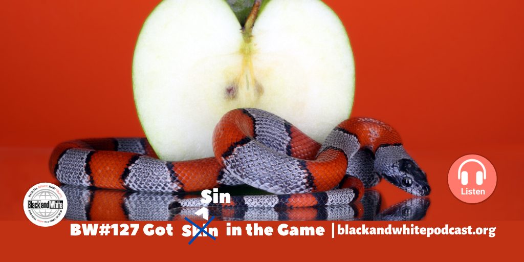 BW#127 Got Sin in the Game – The Real Issue with Racism
