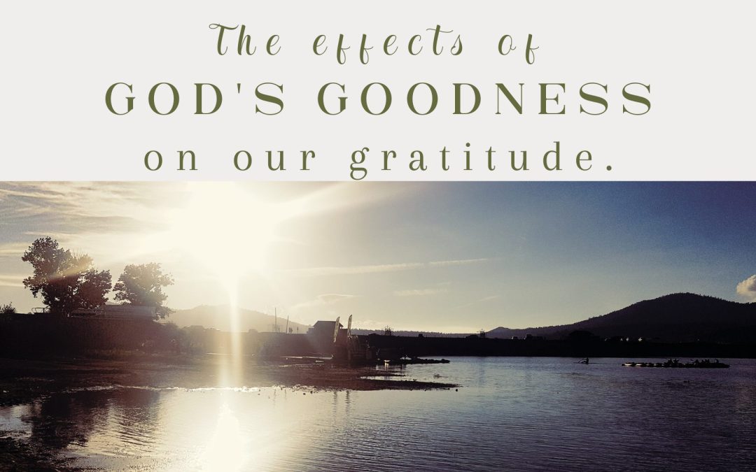 The Effect of God’s Goodness on Our Gratitude