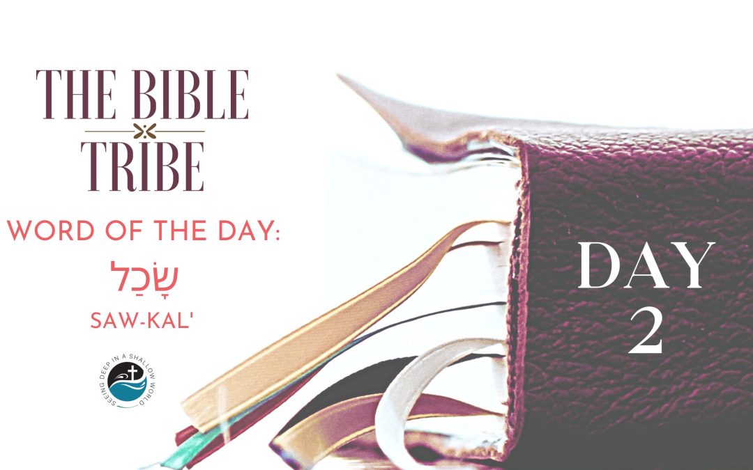 Day 2: Defining Success (Bible Tribe Joshua 1–4)