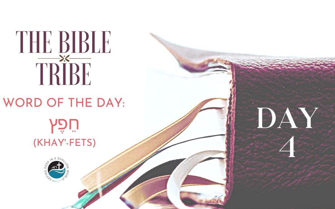 Day 4: Fueling Delight (Bible Tribe Psalm 1–2)