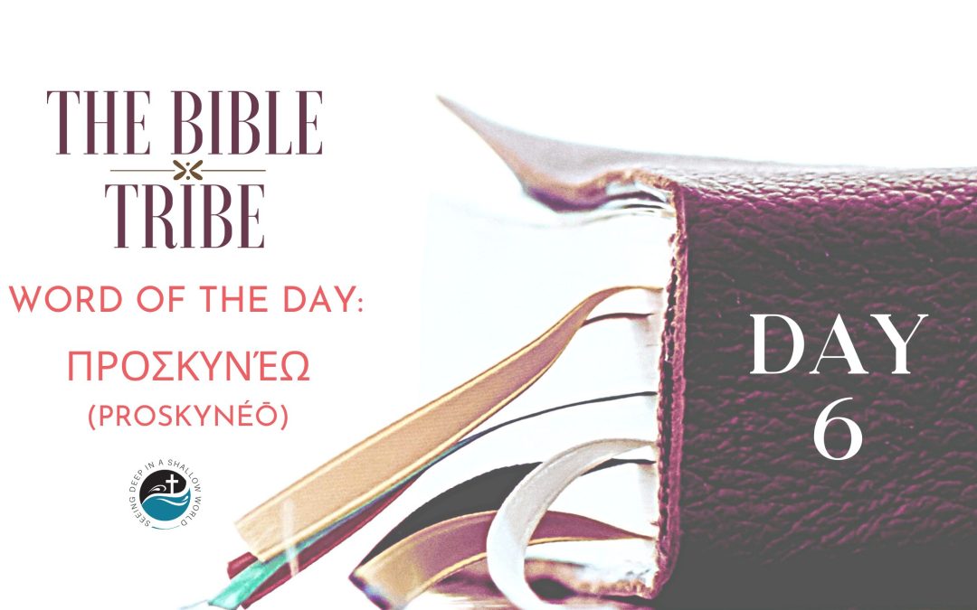 Day 6: Defining Worship  (Bible Tribe Matthew 1–2)