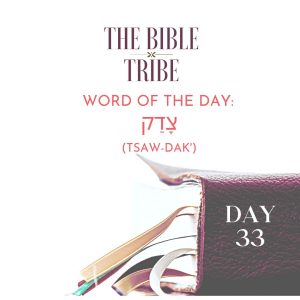 bible tribe 33