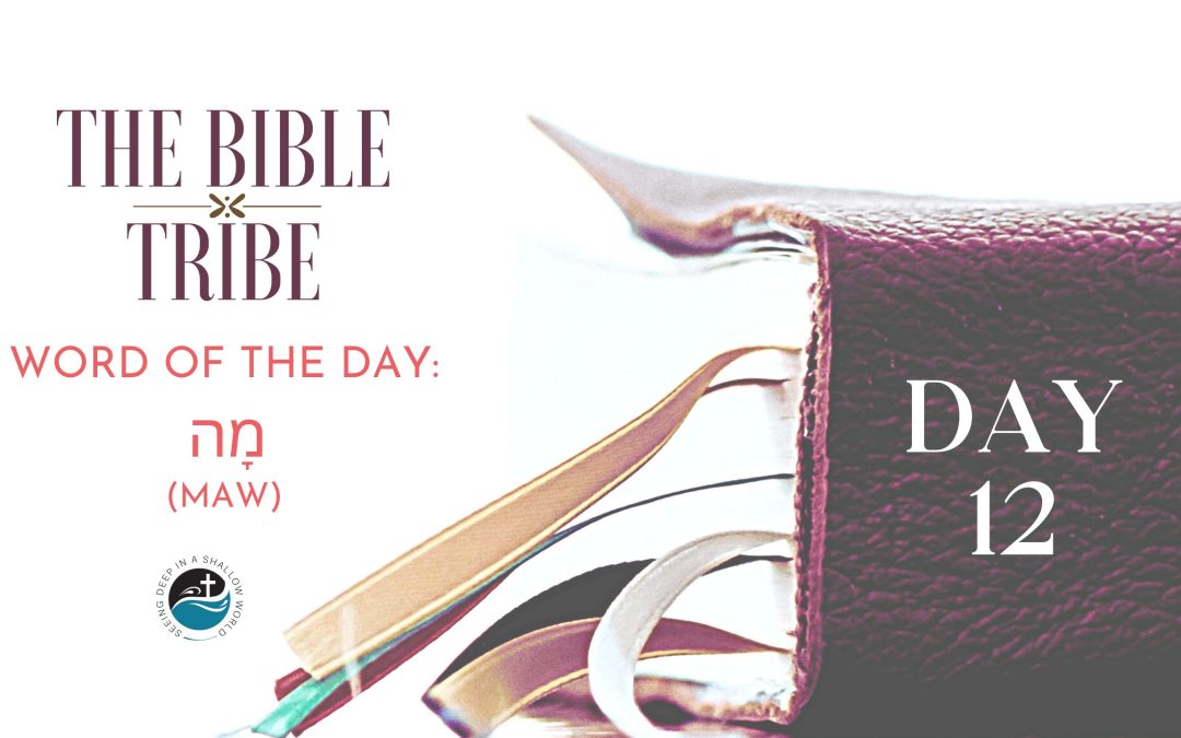 Day 12: When Answers Aren’t Enough (Bible Tribe Job 3–4)