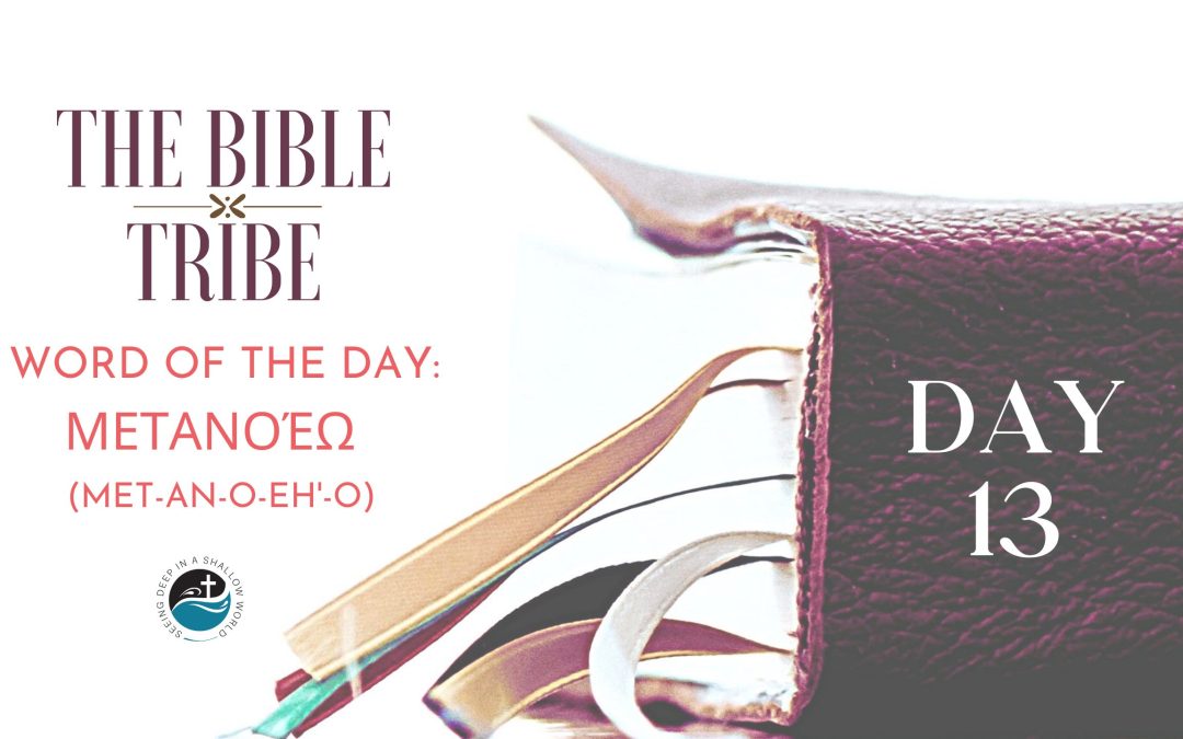 Day 13: True Repentance (Bible Tribe Matthew 3–5)