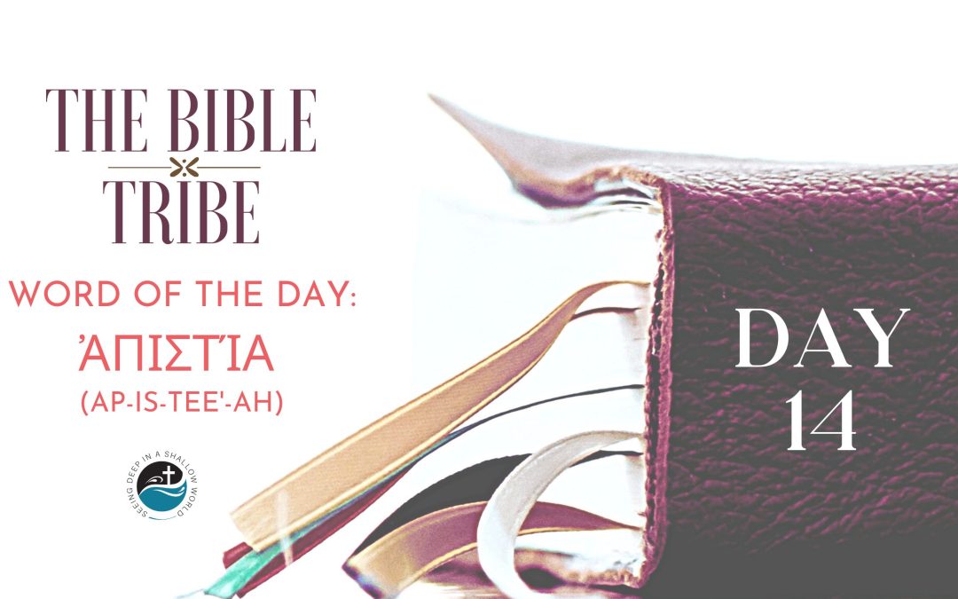 Day 14: Doubting Unbelief (Bible Tribe Romans 3–5)