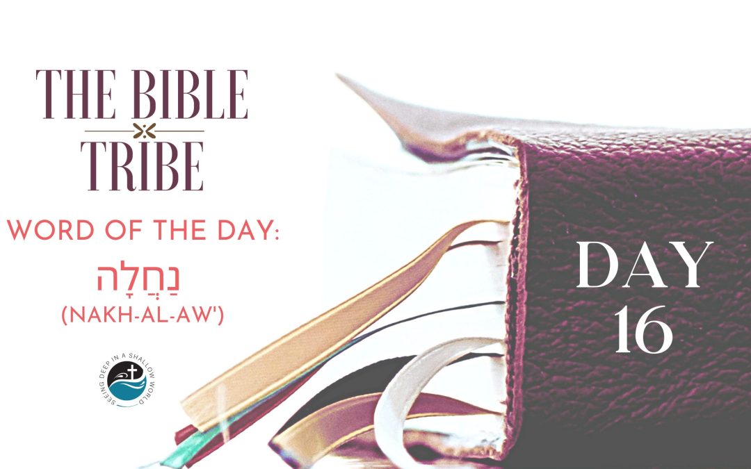 Day 16: Unentitled Inheritance (Bible Tribe Joshua 9–12)