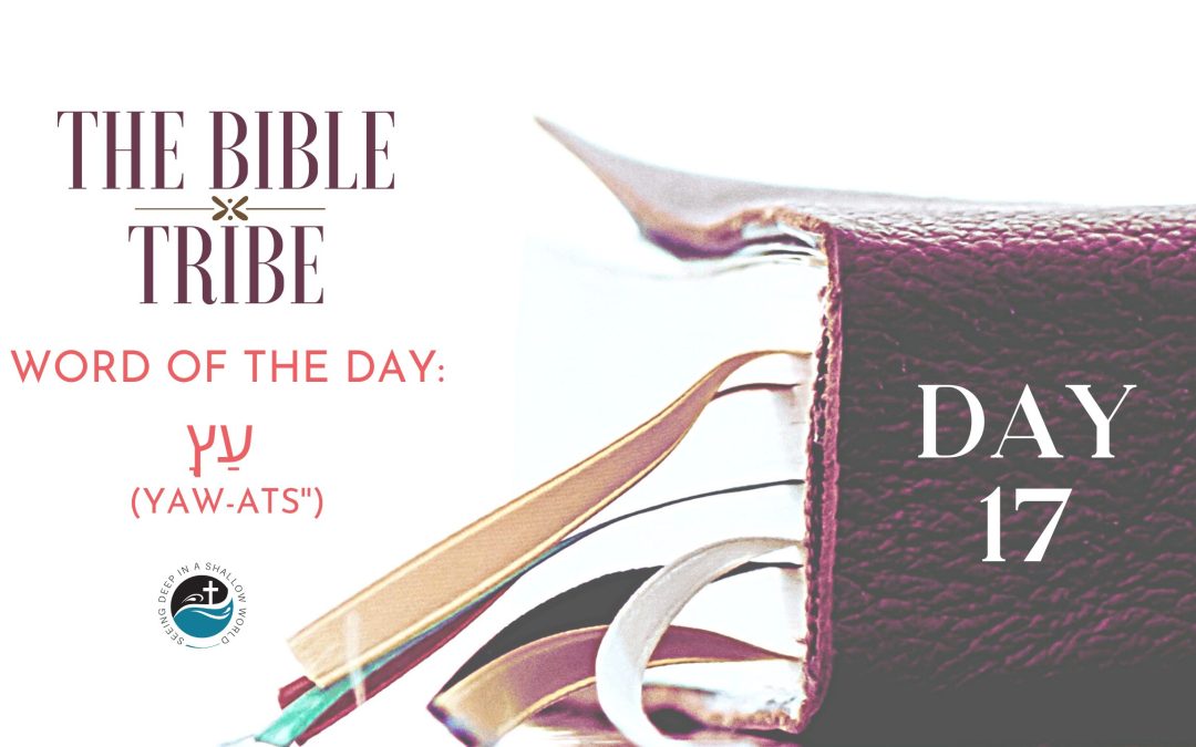 Day 17: Purposeful Plans (Bible Tribe Isaiah 13–18)