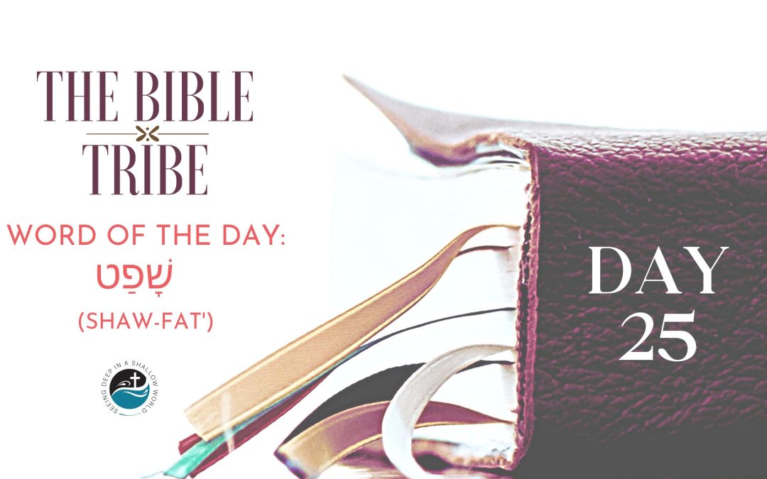 Day 25: God is our Vindication (Bible Tribe Psalm 7–8)