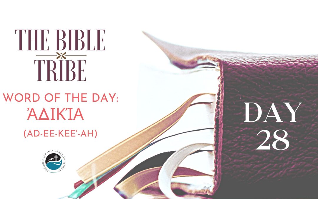 Day 28: Unjust Grace (Bible Tribe Romans 9–10)