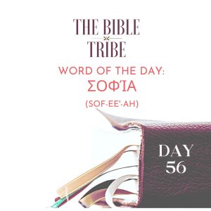 bible tribe 56