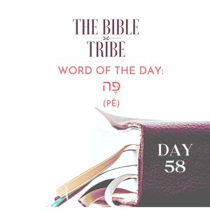 bible tribe 58
