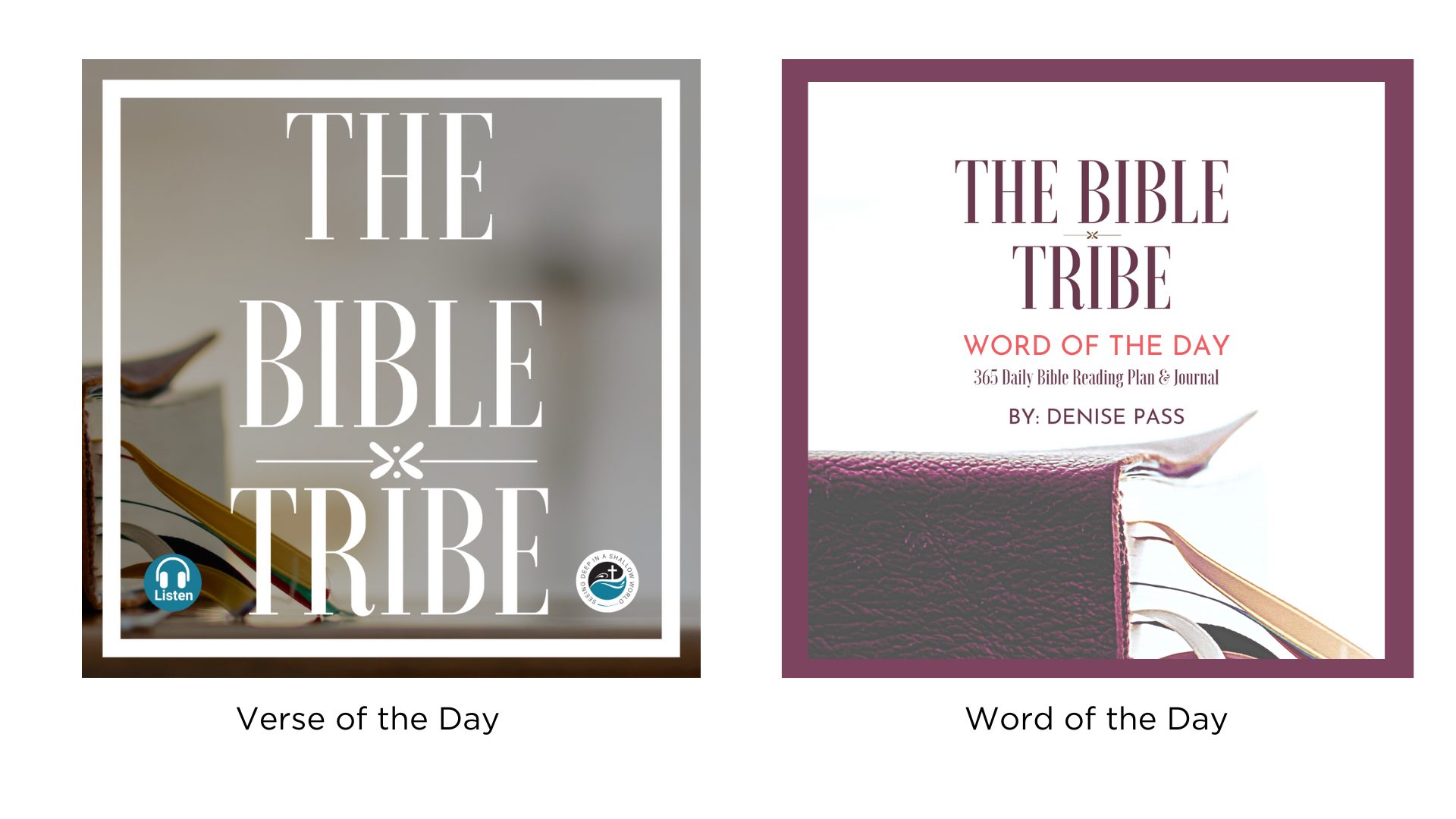 Bible Tribe