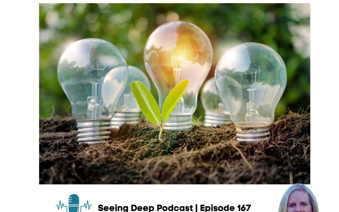 SD #167 Renewing Your Mind