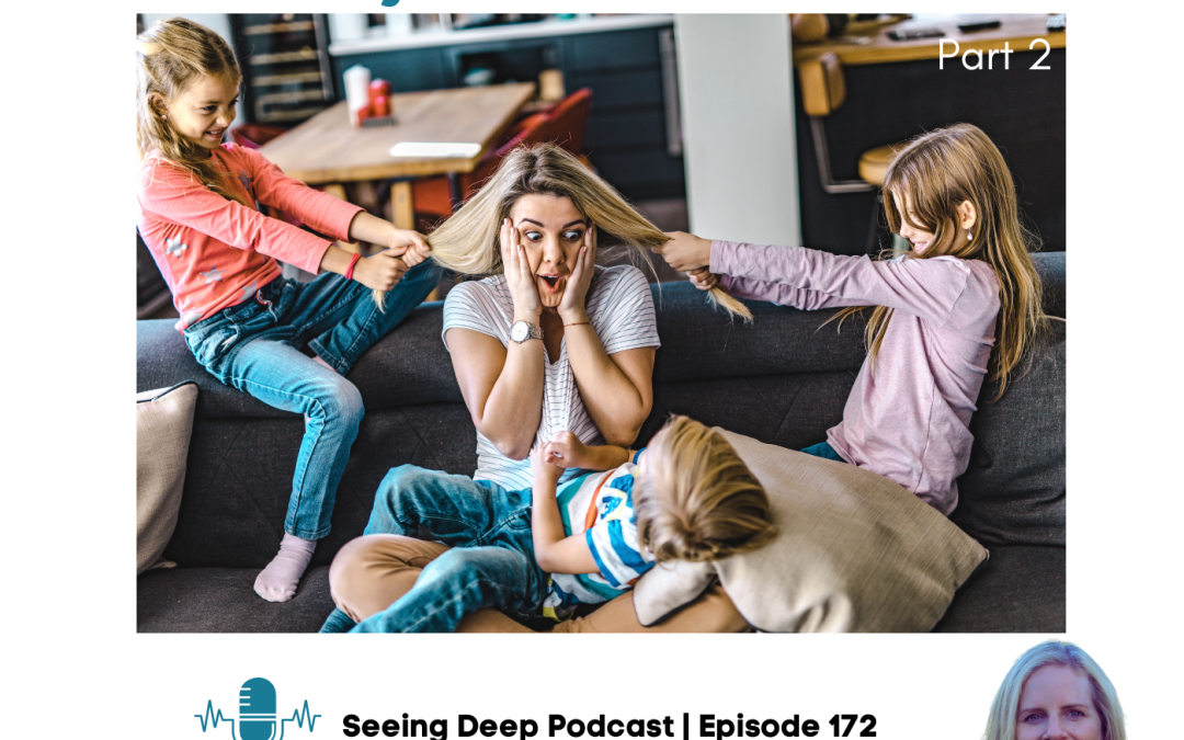 SD#172: Momma Mindset: The Myths of Motherhood, part 2