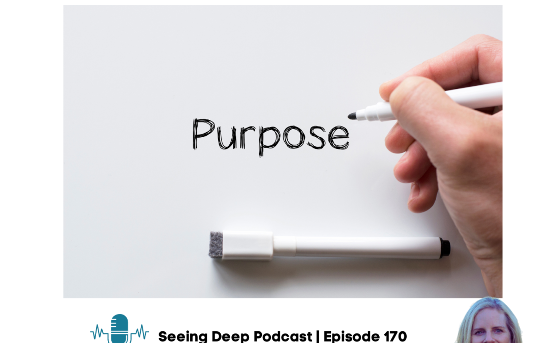 SD#170 Renewing Your Purpose