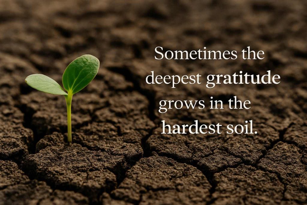 Gratitude Grows in Hard Soil
