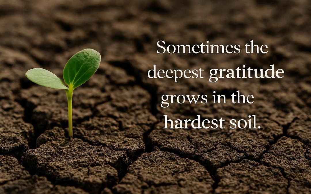 Gratitude Grows in the Hardest Soil