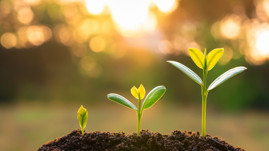 Seeing the Quiet Work of God When Progress Seems Slow
